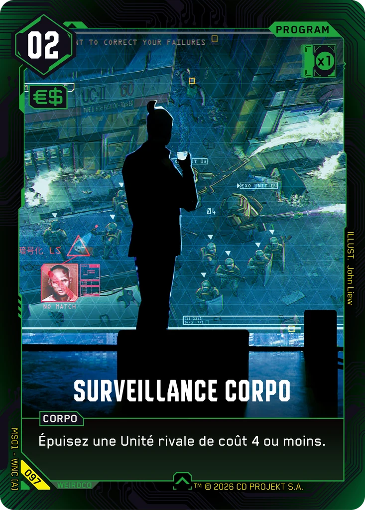 Surveillance Corpo
